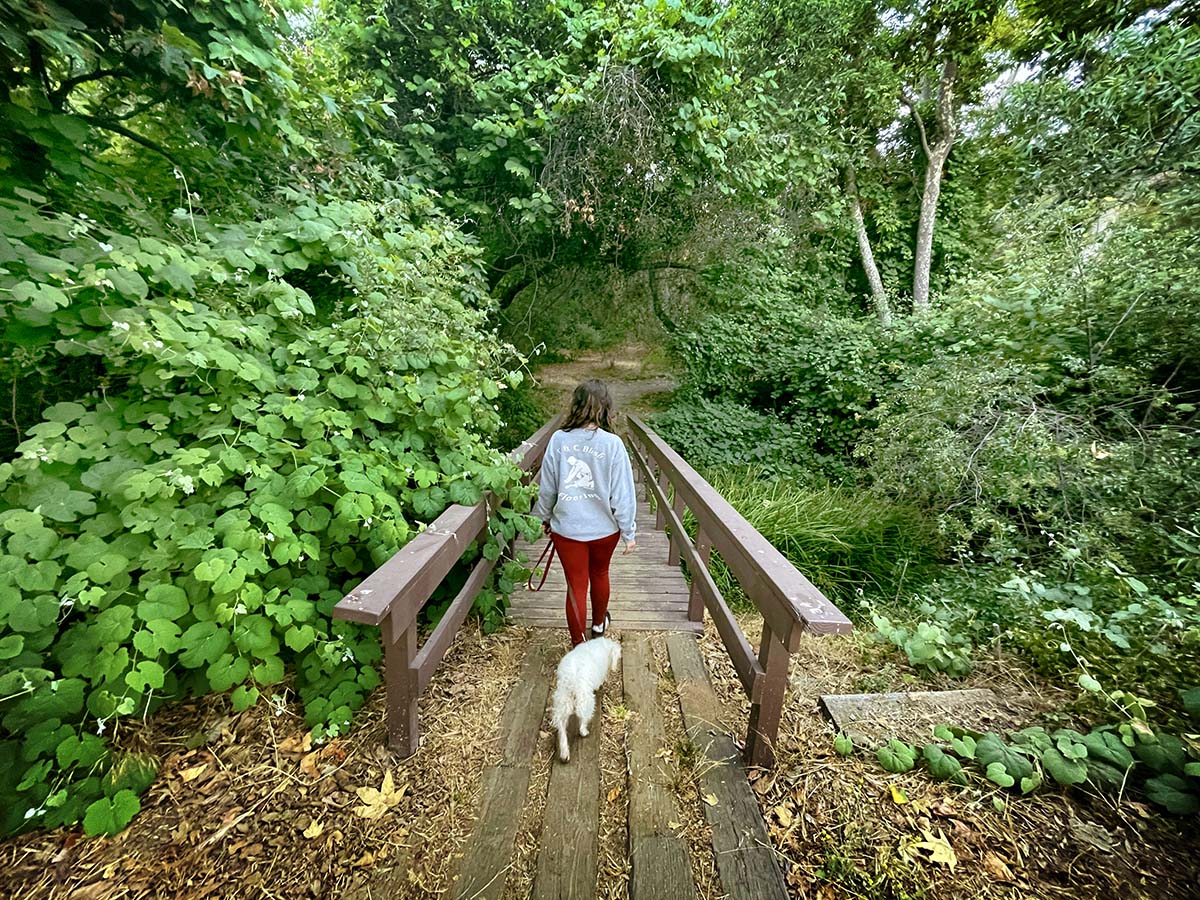 Live Oak County Park
