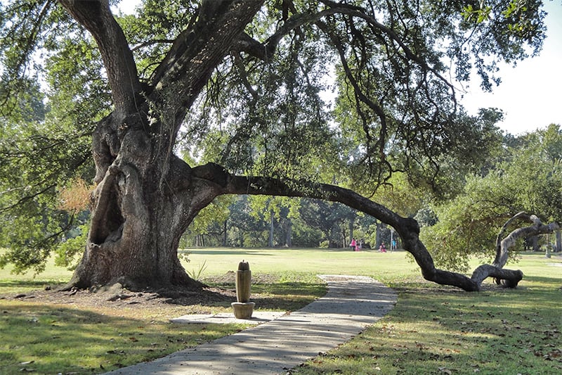 Top 10 Attractions in Fallbrook, California